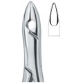 Tooth Extracting Forceps|(amr)